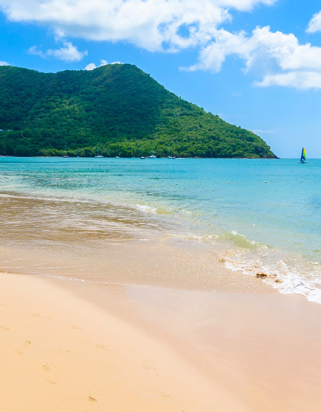 Kreuzfahrten in Dominica Angebote und Reiserouten Costa Kreuzfahrten