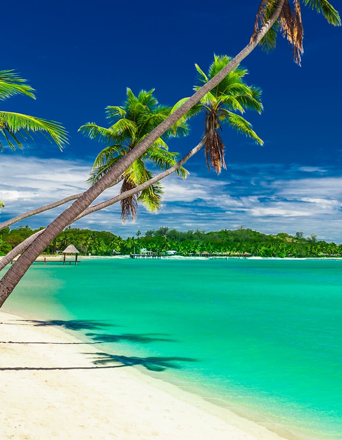 Kreuzfahrten in Fidschi-Inseln: mit Flug, Angebote und Reiserouten ...
