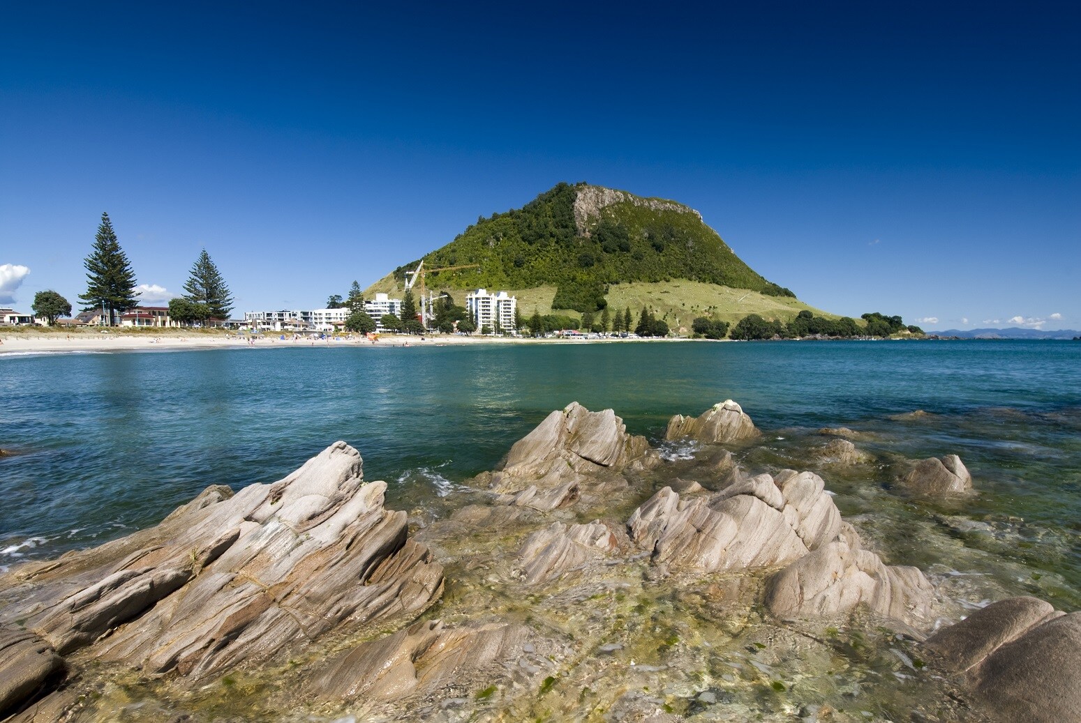 Landausflüge in Tauranga Costa Kreuzfahrten