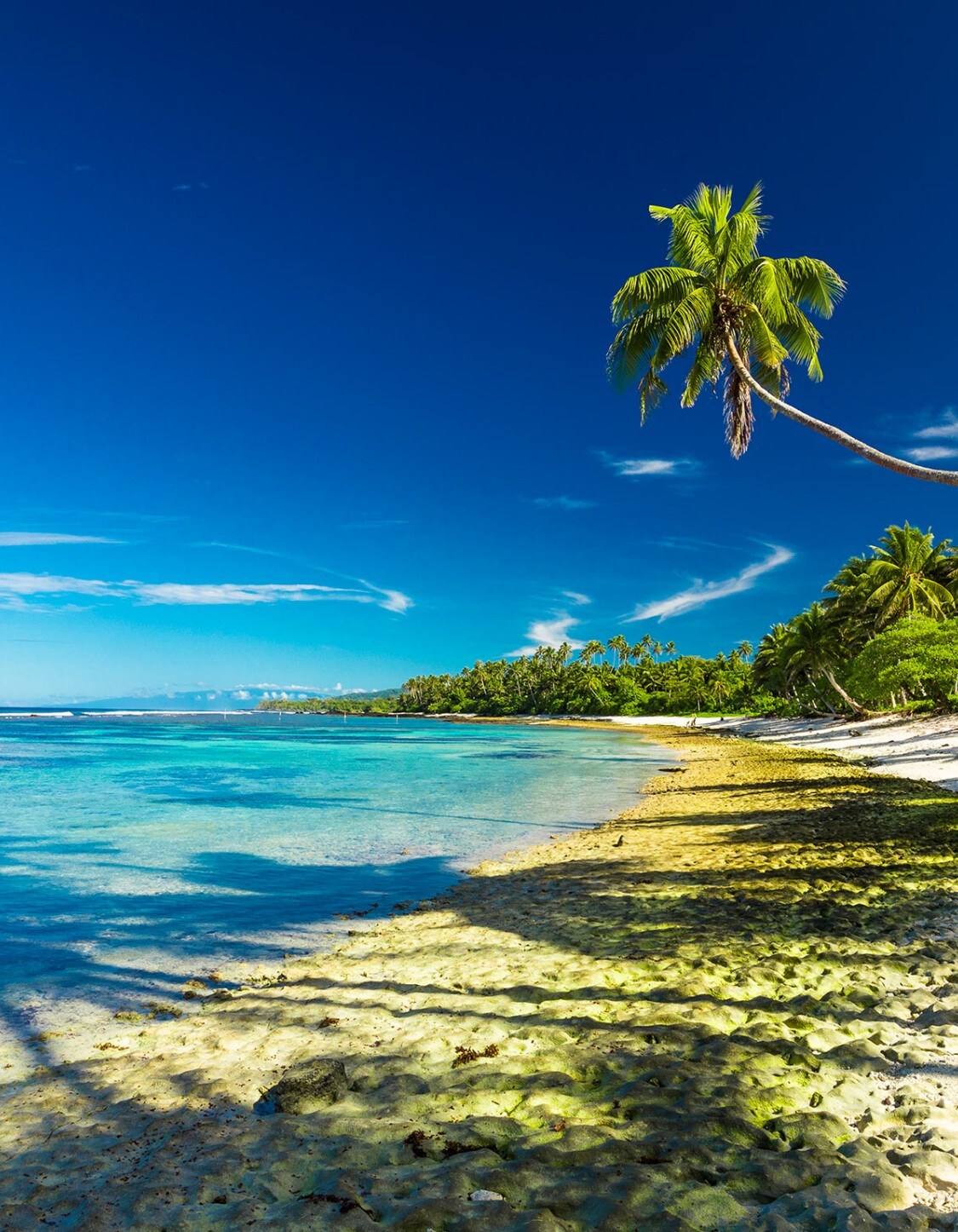 Kreuzfahrten Apia: Reiserouten und Angebote | Costa Kreuzfahrten